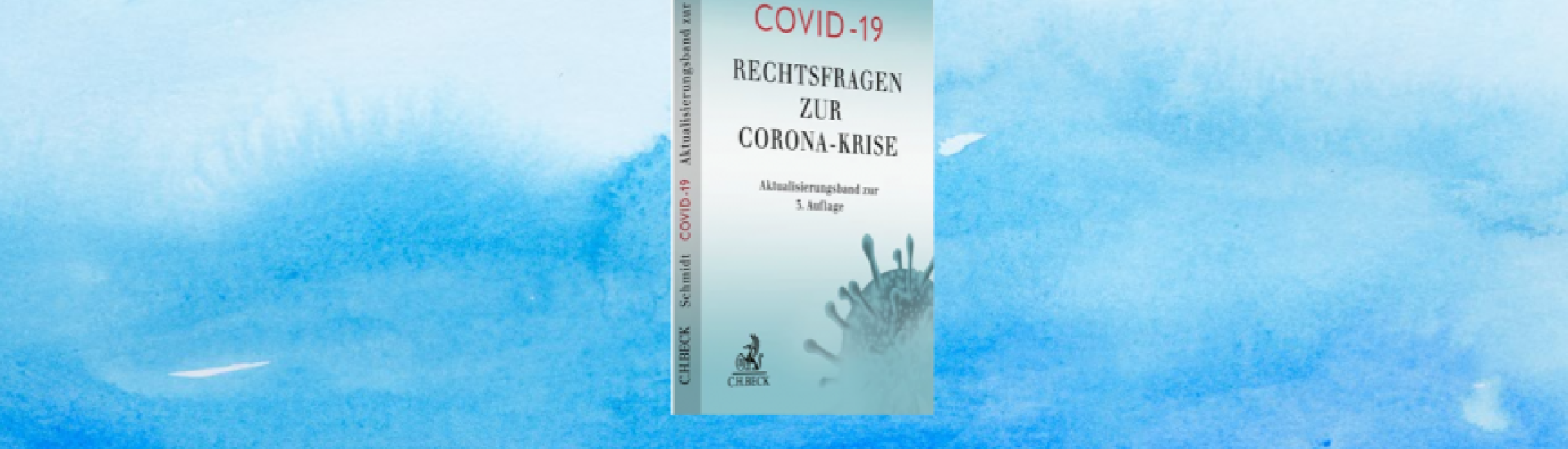 Rechtsfragen zur Corona-Krise - Aktualisierungsband zur 3. Auflage