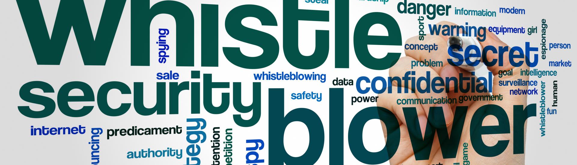 Whistleblowing: E-Learning zum Hinweisgeberschutzgesetz Whistleblowing: E-Learning zum Hinweisgeberschutzgesetz