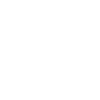 Icon Sanierung und Insolvenz