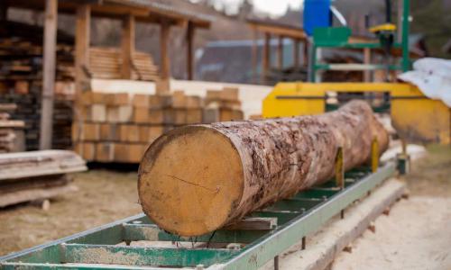 Klage gegen das Land Rheinland-Pfalz und seine Gemeinden als kommunale Waldbesitzer auf Zahlung von Schadensersatz i.H.v. über 120 Mio. € erfolgreich abgewehrt